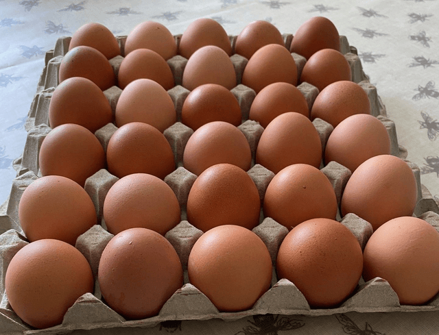 Tray of 30 Eggs 